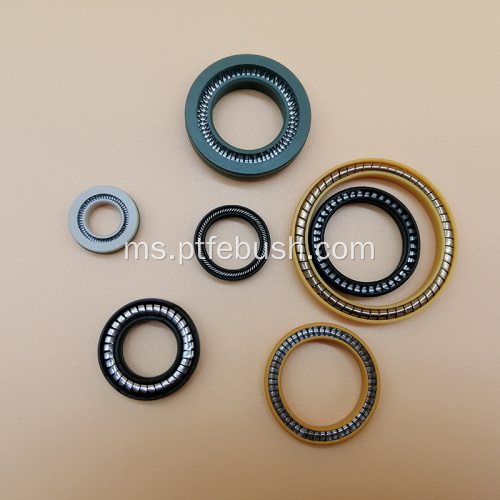 Spring bertenaga PTFE Seal berkualiti tinggi